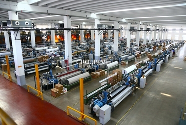 CHINA Sichuan Groupeve Co., Ltd. Perfil da empresa